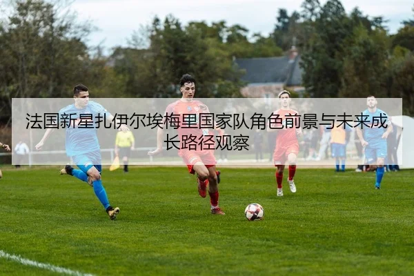 img_1780776949625_426_1_503.jpg