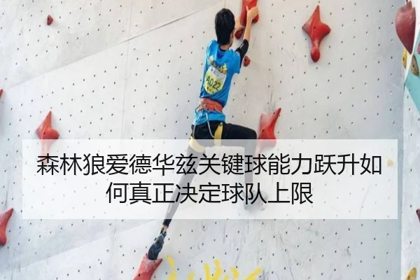 森林狼爱德华兹关键球能力跃升如何真正决定球队上限